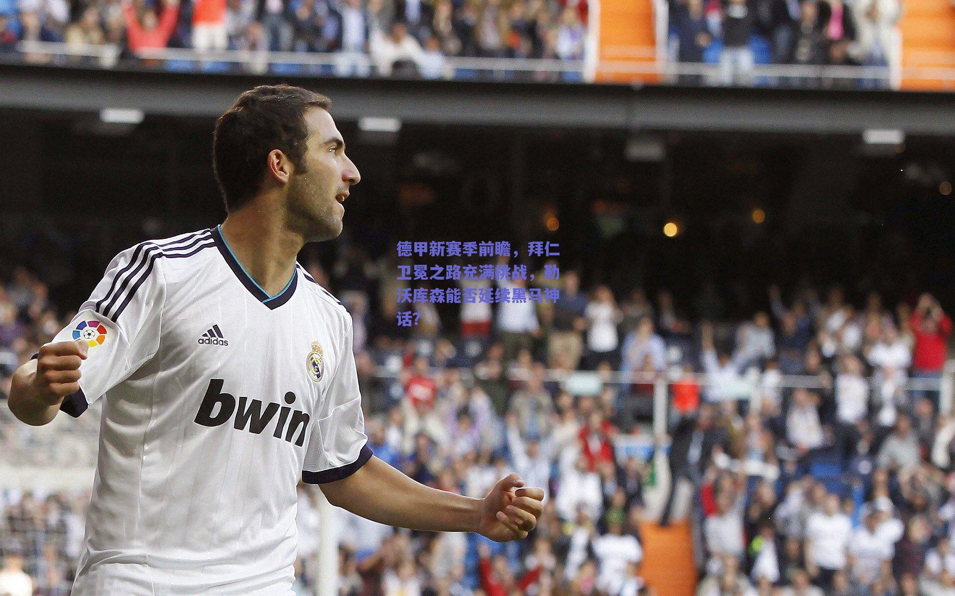 德甲新赛季前瞻，拜仁卫冕之路充满挑战，勒沃库森能否延续黑马神话？