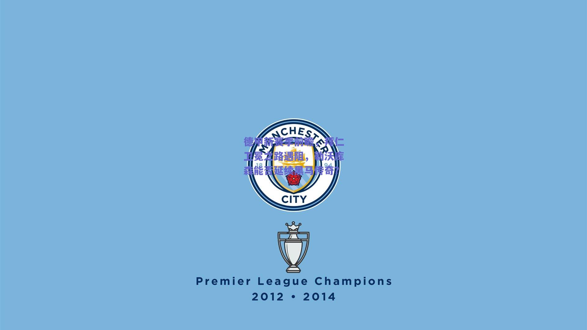 德甲新赛季前瞻，拜仁卫冕之路遇阻，勒沃库森能否延续黑马传奇？